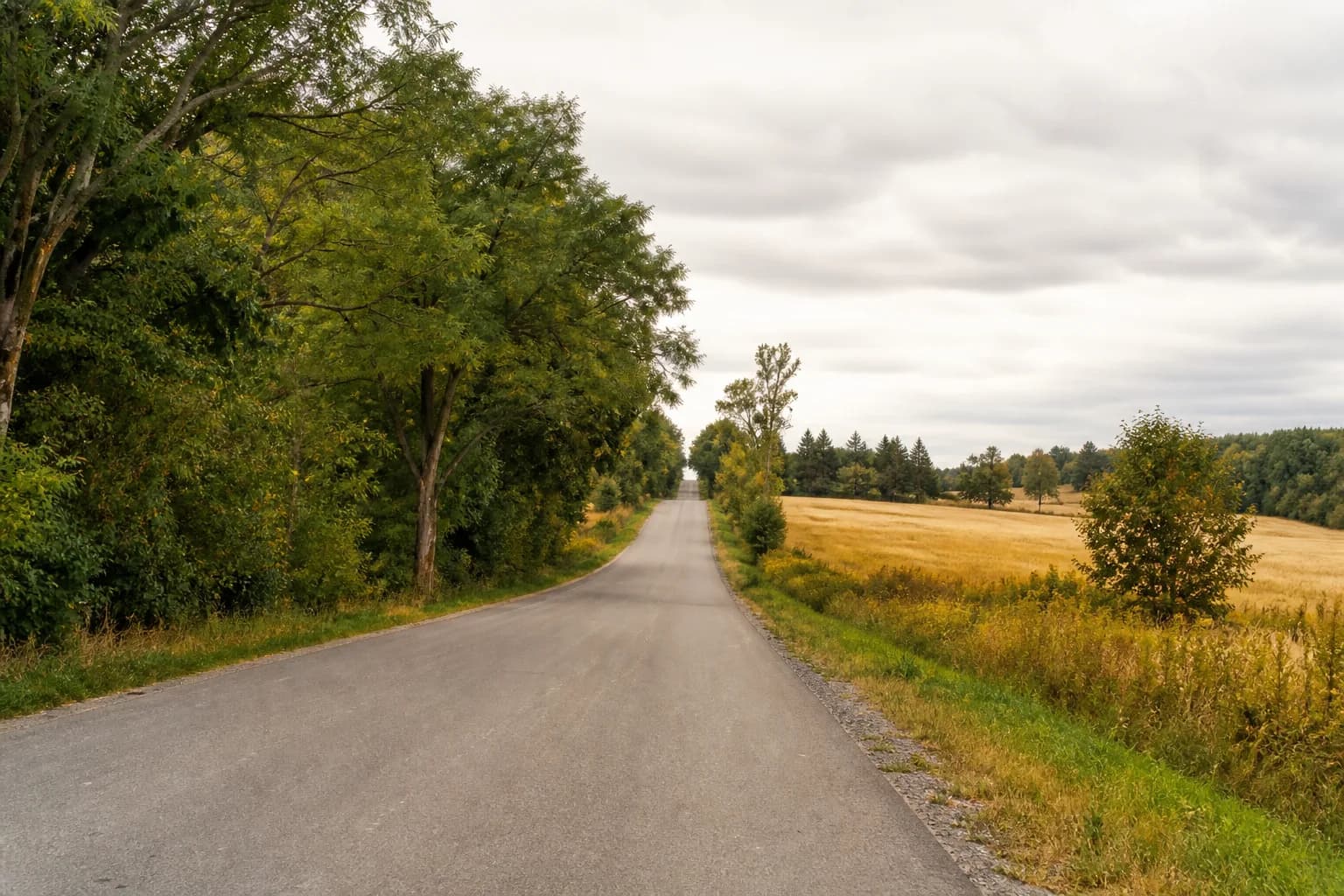 Arbourview by Mattamy Homes — Eighth Line countryside setting for WideLot™ homes in Georgetown