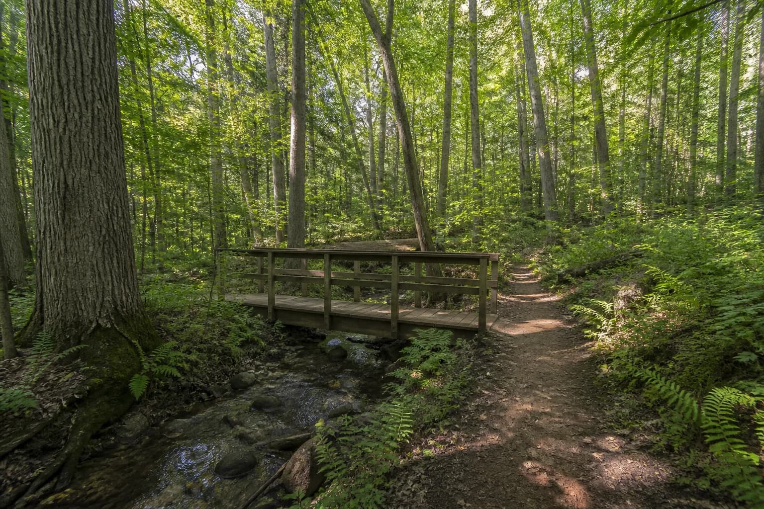 Arbourview nearby recreation — Hungry Hollow conservation trails in Georgetown